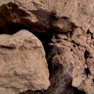 Chocolate Industrial