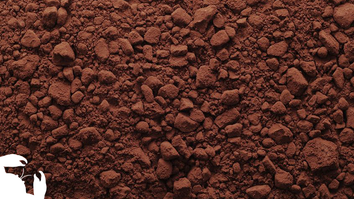 Cocoa Powder