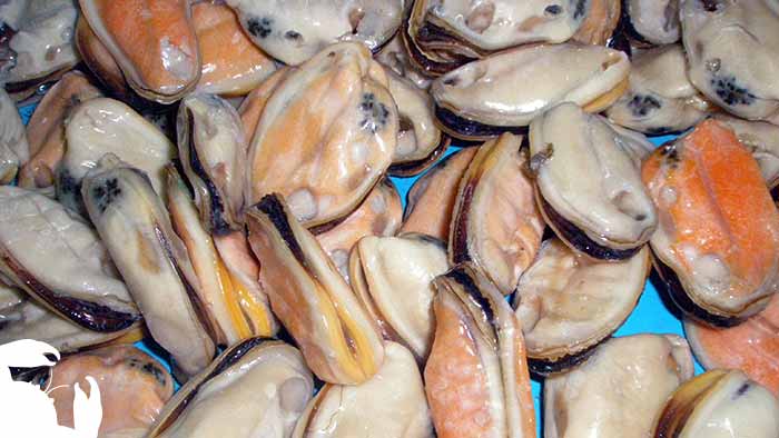 Mussels