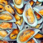 Mussels
