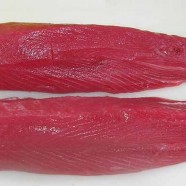 Yellow Fin Tuna