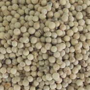 White Pepper