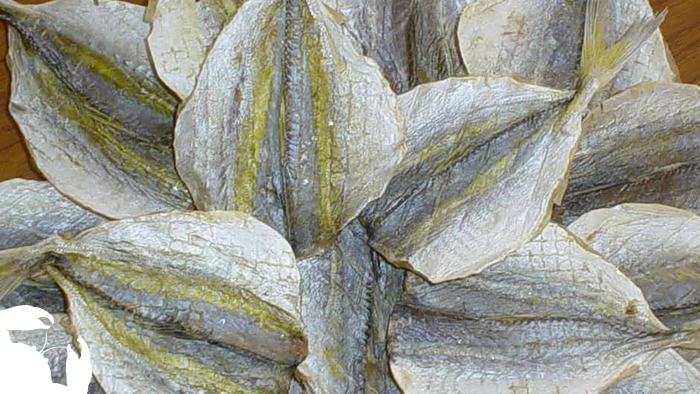 Yellow Stripe Travelly